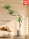 Artificial Green Plants, Faux Plants, Light Luxury Living Room Decorative Trees, Large Indoor Potted Floor-Standing Ornaments, Dragon Blood Tree Artificial Flowers