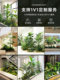 Simulated Green Plant Landscaping, Indoor Decoration under the Stairs, Trendy Decorative Combinations, Tropical Artificial Plants, and Biomimetic Landscape Design