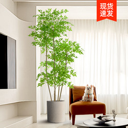 Artificial Green Plant Nandina, High-End Luxury Imitation Plant, Potted Plant for Living Room Decoration, Artificial Tree Ornament, Fake Flowers, Artificial Flowers