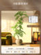 Large-Scale Bionic Green Plant of Jacaranda, High-End Luxury Indoor Living Room Decoration, Artificial Tree, Floor-Standing Ornament Beside the Sofa