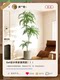 Artificial Jacaranda Green Plant Indoor Large Luxury Decorative Piece for Living Room, Floor-Standing Potted Plant, Faux Flower Tree