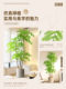 Nan Tian Zhu Green Plant Artificial Plant Luxury Indoor Large-Scale Realistic Potted Decoration Living Room Decoration Floor-Standing Fake Flower Tree