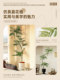 Simulated Green Plant Jacaranda, Indoor Potted Large Artificial Plant, Faux Tree, Light Luxury Living Room Decoration, Floor-Standing Ornament