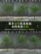 Artificial Horsewood Landscaping Plants for Decorating under Stairs, Faux Trees for Indoor Landscapes, and Biomimetic Green Plant Landscaping Combinations
