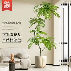 Large Floor-Standing Ornaments for the Living Room, High-End Decorations, Indoor Plants Next to the Sofa, Fake Plant Pots, Jacaranda Artificial Green Plants