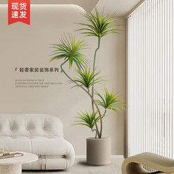 Artificial Green Plant for Luxury Living Room Decoration, Potted Plant, Faux Flower, Dragon Blood Tree, Indoor Floor Ornament