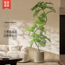 High-End Luxury Artificial Green Plant, Blue Jacaranda Floor-Standing Potted Plant, Fake Flower Tree, Indoor Living Room Decoration, Faux Plant