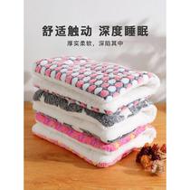 Yue Point Cat Nest Mat Flight Case Warming Mat Flannel Thickened Double-layer Pet Blanket Universal Small Size for Cats and Dogs