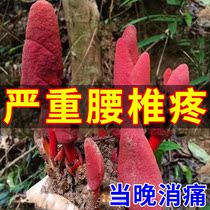 Lumbar Pain Star Disc Pain Special Drug for Lumbar Myo Pressure Neurompression Stimulation Buy Two - one