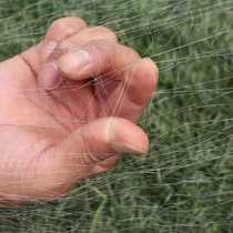 Anti-sparrow net rice cherry orchard vegetable garden greenhouse air outlet disposable anti-bird net farmland outdoor anti-bird net