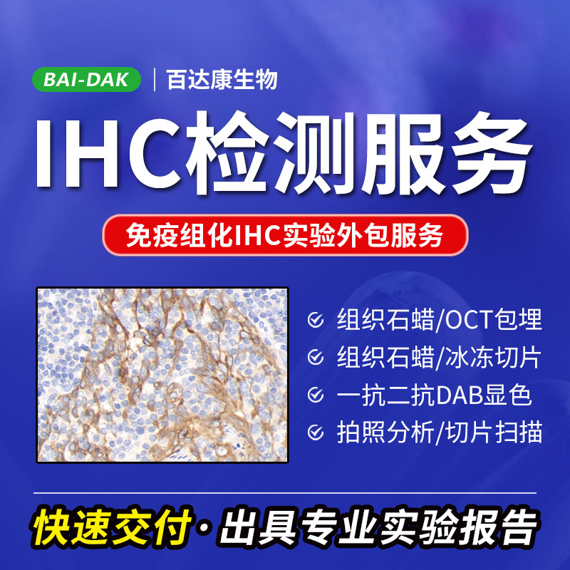 免疫组化IHC检测服务实验外包 病理石蜡包埋切片 DAB显色镜检扫描