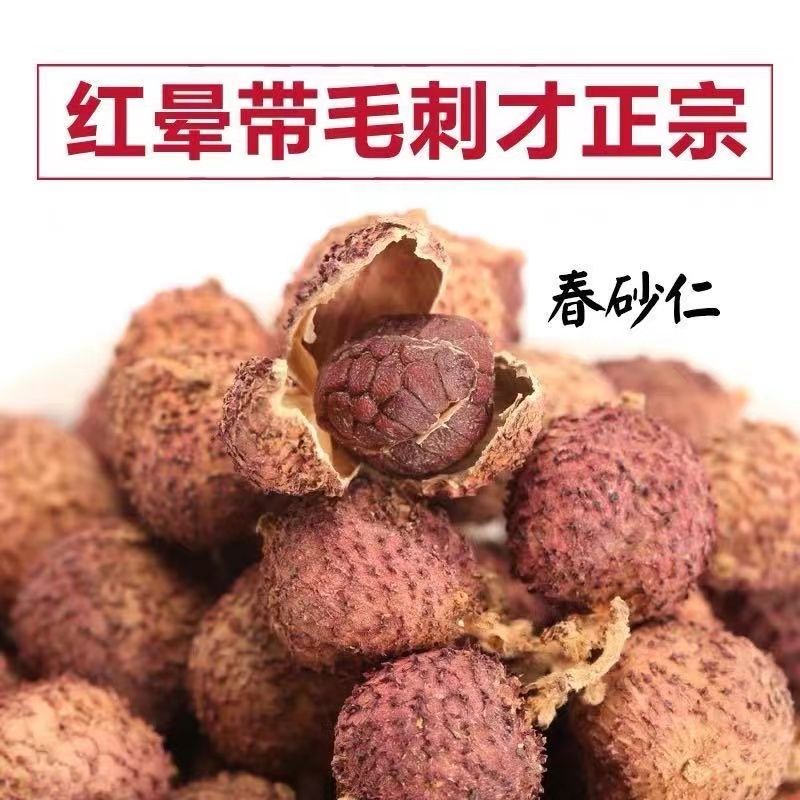 Zhengzong Guangdong Yangjiang Tbirth Yangchun Medicine Spring Herbal Medicine Spring Sandy Hair Sarinfruit 50 gr g Nourishing Stomach Chinese Herbal Medicine-Taobao