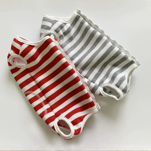 Новый домашний животный борьба с собаками борьба с собаками осень и зимний паттер