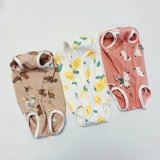 Физиологические штаны для любителей собаки Тедди менструальные брюки против харассии брюки с защитой от прятки