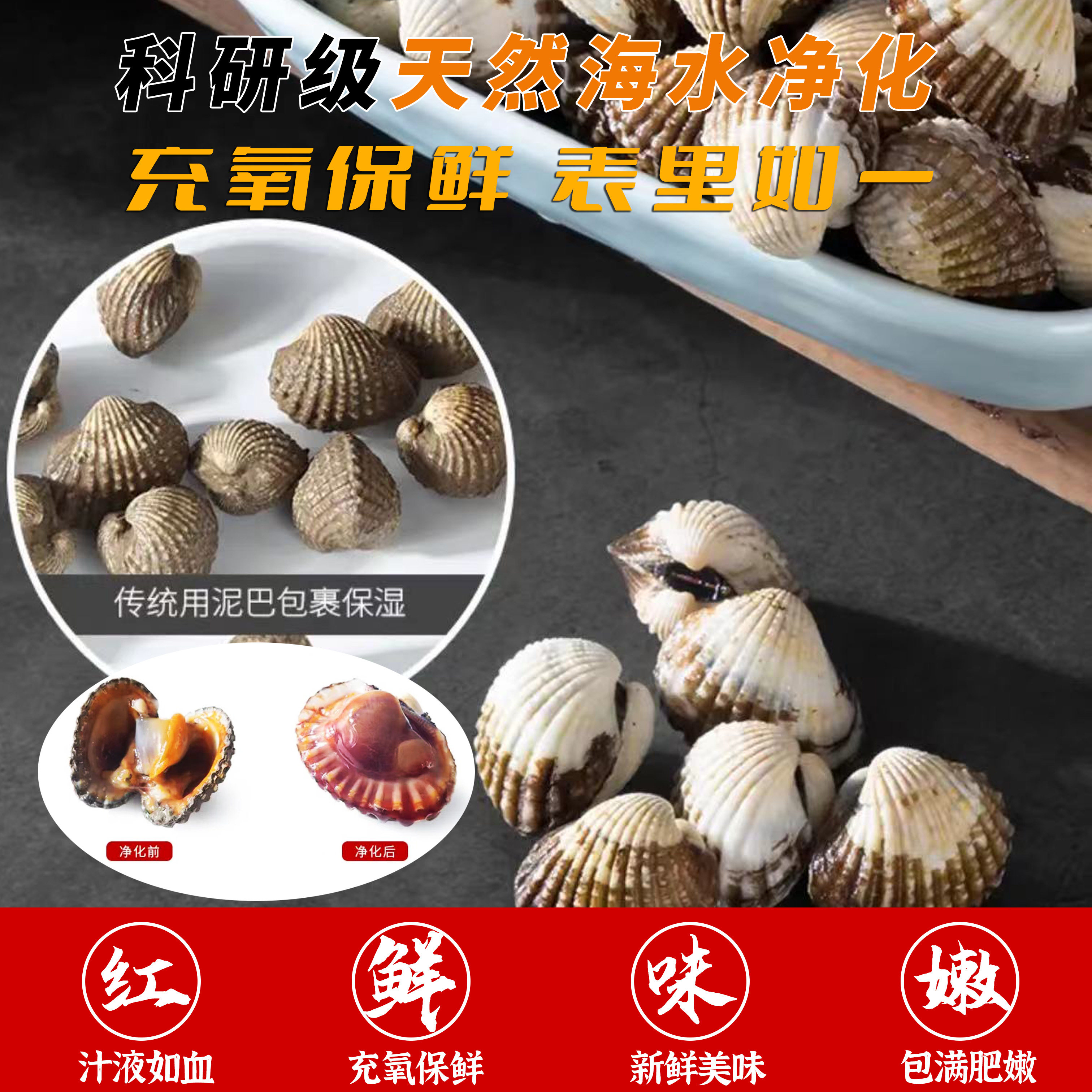 温州翁垟血蛤花蛤:鲜美滋味的秘密武器,带你解锁海鲜新吃法!-其它-淘宝百科网