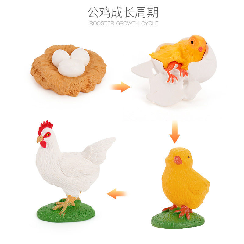 Игрушки-животные 新款仿真实心海龟青蛙蜗牛小鸡动物成长周期幼儿园蒙氏教具模型摆 OTHER