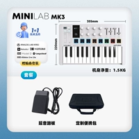 New Minilab Mk3 White+Pedal+Сумка с твердой оболочкой