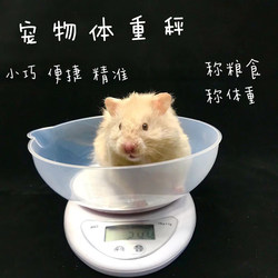 Tao Taojia pet weight scale said that food is called weight flower branches, mouse, hamster, gold silk bear Dutch pork honey bag 鼯