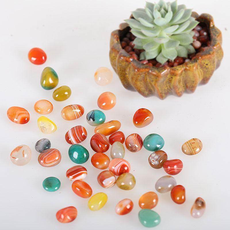 Nanjing Egg Rain Original Flower Stone Stone Natural Goose Stone Gardening Five Dress Colorful Little Stone Sub Multi Meat TKW Paved Flower Pot