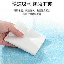 Pet Dog Dog Urine Sheet Cat Diaper Teddy Bib Bear Urine Not Wet Water Suction Thickened Deodorized Large Urine Mat Toilet Supplies