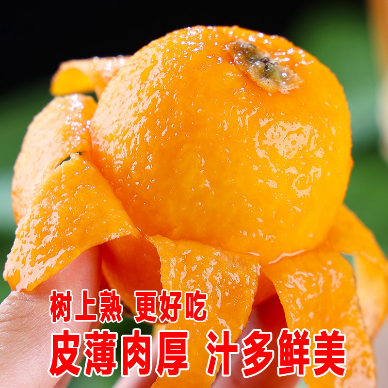 四川攀枝花米易枇杷大果新鲜琵琶水果大五星批把整箱必买!-枇杷-淘宝百科网