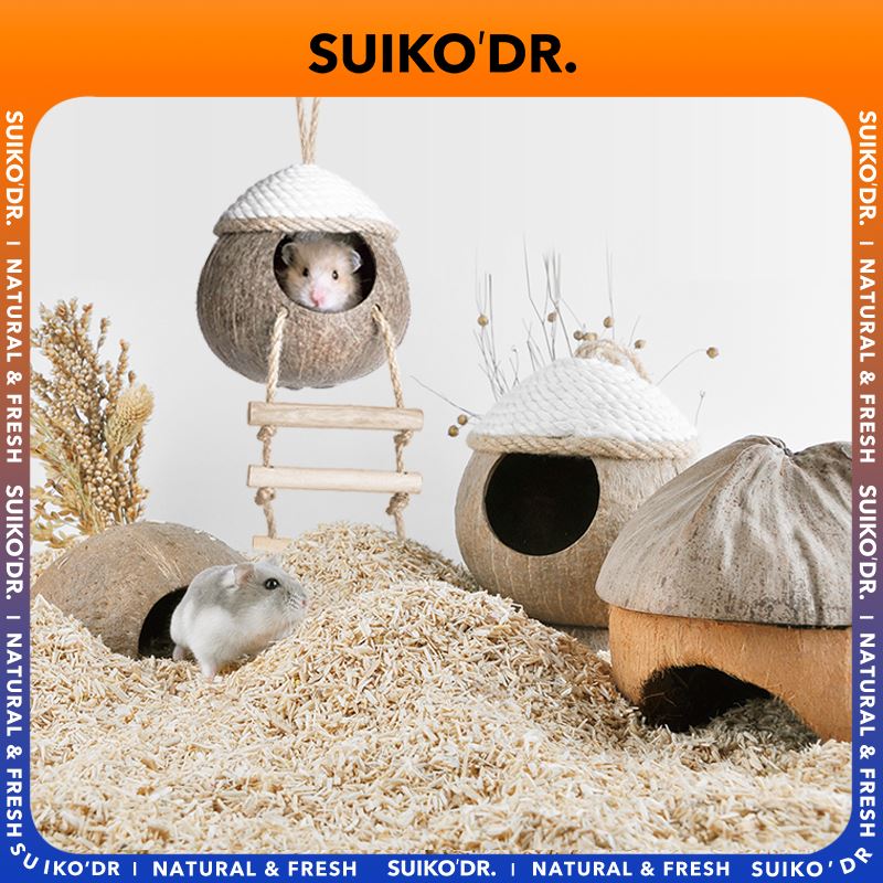 Shell Harden Coconut Shell Bear Escaped Cottage Cottage Cottage Cottage Summer Cooling Architecture