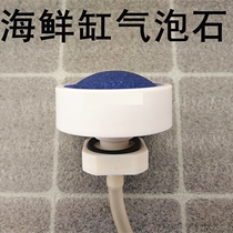Seafood tank accessories aeration sand head oxygen cap seafood pool perforated gas stone wall-mounted gas aeration cap bubble head