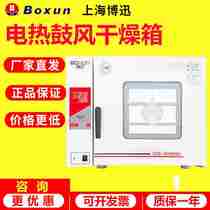 Shanghai Bofenxun - Desktop electric heating warm blast drying oven constant chamber laboratory