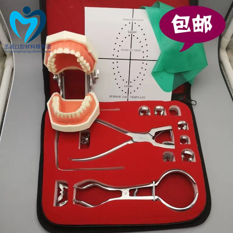牙科 橡皮障布 障布 打孔板 橡皮障工具套装矫正打孔器带模型牙线