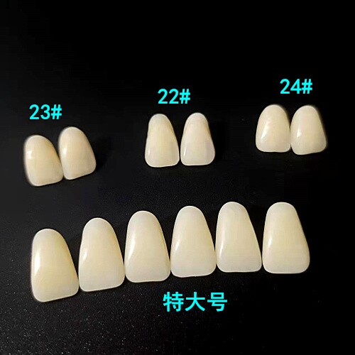 牙科散牙粒 特大号上门牙 6*1 加工厂 用 练习排牙口腔齿科 包邮