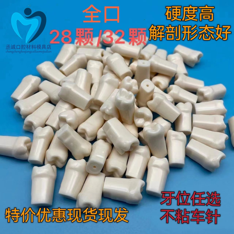 牙科 备牙牙齿模型仿真离体牙模型 口腔根管树脂牙考试练习用牙粒