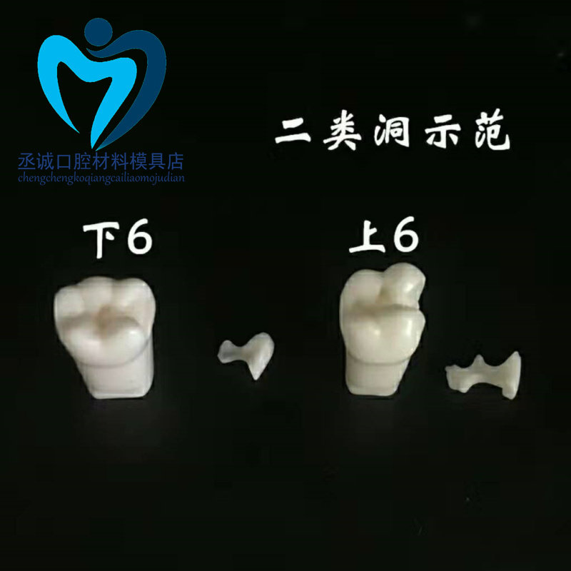 牙科二类洞窝洞标准牙齿牙粒 预备标准模型窝洞制备牙体示范模型