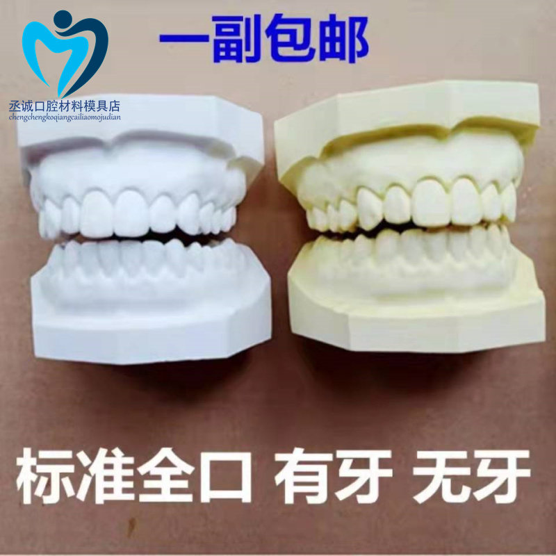 牙科 假牙石膏标准模型有牙齿 无牙齿 标志模型 口腔教学练习标模