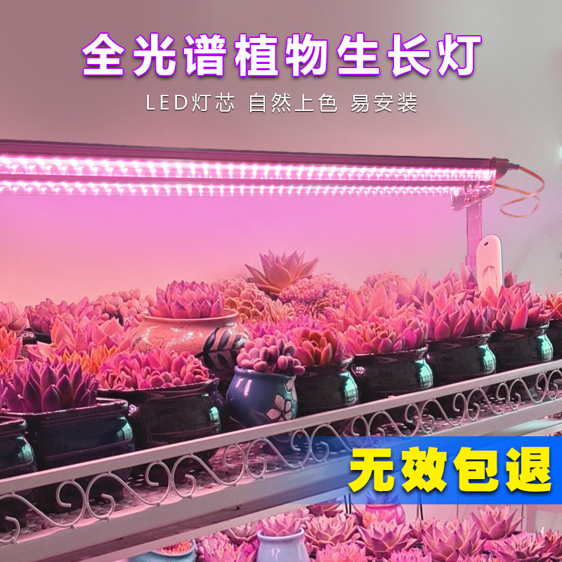 全光谱多肉补光灯LED家用室内植物生长灯 花卉上色开花结果仿太阳