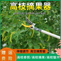 Picking Fruit God Instrumental Dragon Eyes Cherry Fruit Branch Cut Flex High Altitude Cut Lengthened Fragrant Toon High Branch Cut Lychee Pick Fruit Cut