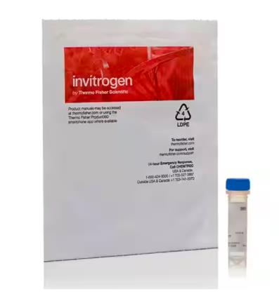 Invitrogen 脂肪酸偶联物BODIPY FL D3822