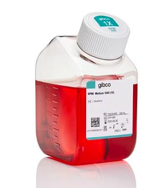 Gibco 国产 RPMI1640培养基 C11875500BT