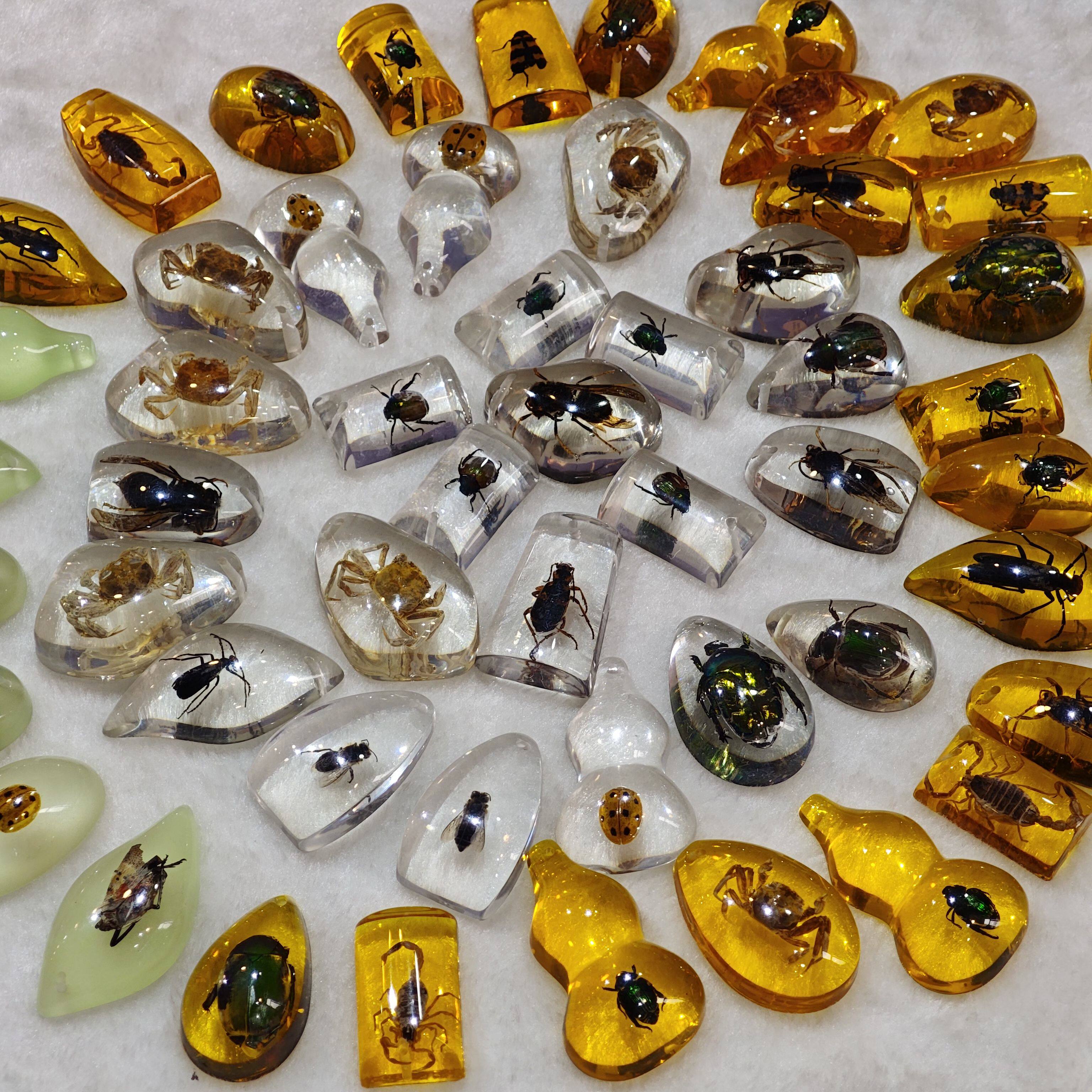 本物の昆虫琥珀標本、子供向け発掘・考古学ブラインドボックス、昆虫琥珀アクセサリー、学生向け教育ペンダント、こどもの日の贈り物。