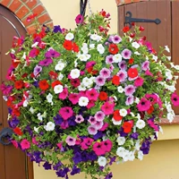 500 капсул с карликовыми коровами+удобрения [купить 2 получить 1 Get 1]