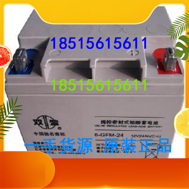 Shuangdeng battery 6-GFM-17 industrial battery Shuangdeng 12V17AH battery spot