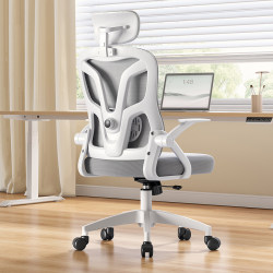 Bambeiyu Computer Chair, Study Chair for Students, Backrest Desk Chair, Office Study Chair, Comfortable for Long Sitting, Ergonomic, Bedroom