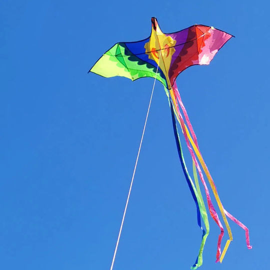 凤凰大号风筝儿童微风易飞大型立体高端风筝大人专用2023年新款