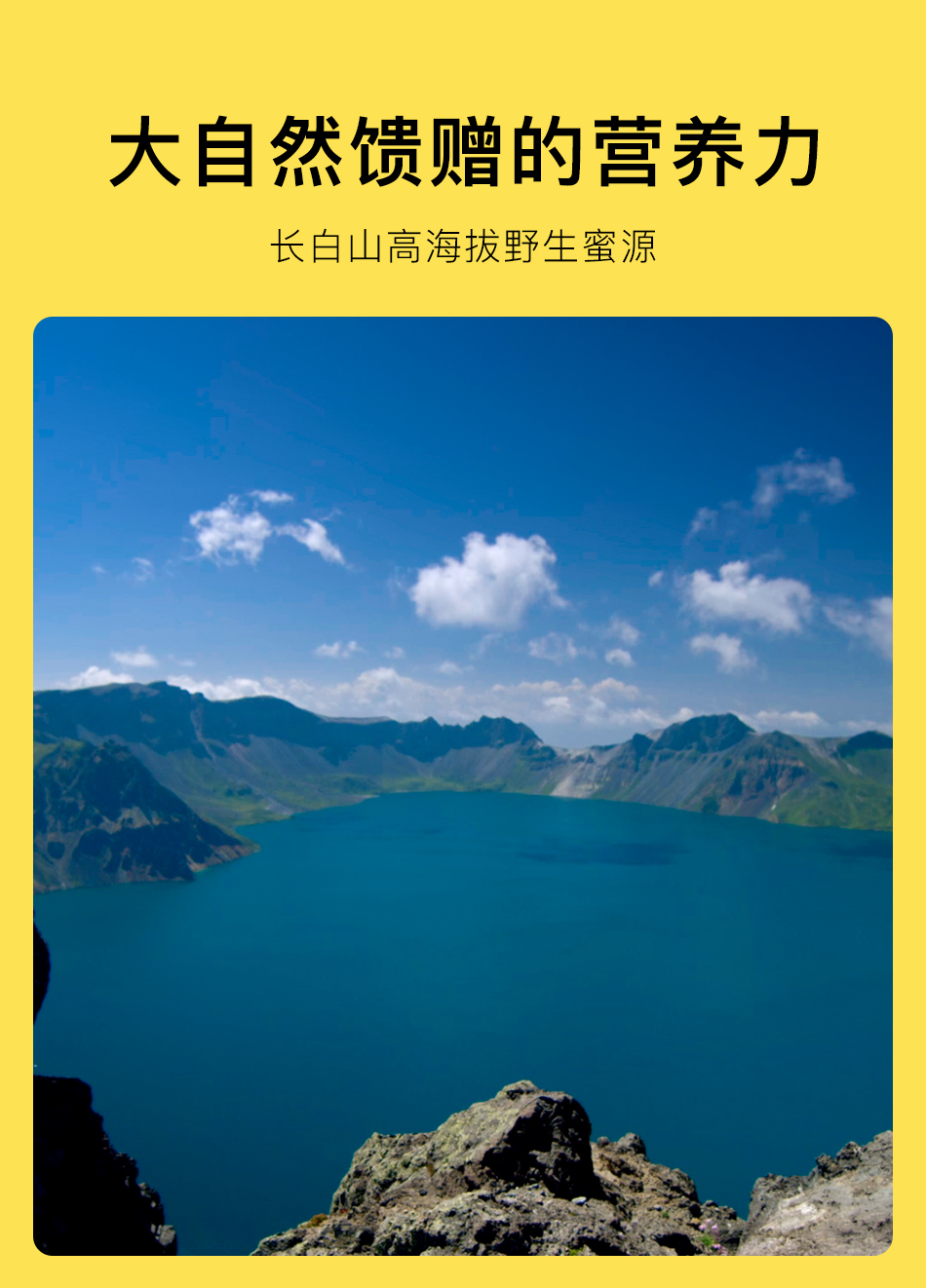 长白尚品 长白山野生椴树雪蜜 500g 图4