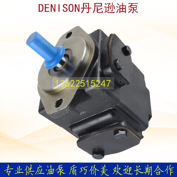 US imports Denison DENISON high-pressure vane pump injection moulding hydraulic pump T6C 031 3R00 B5
