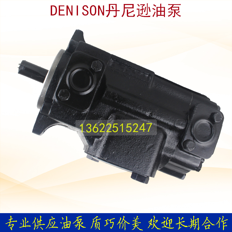 Danny Danon duplex vane oil pump T6ED-062-014 017020024028 031-1R00-C100