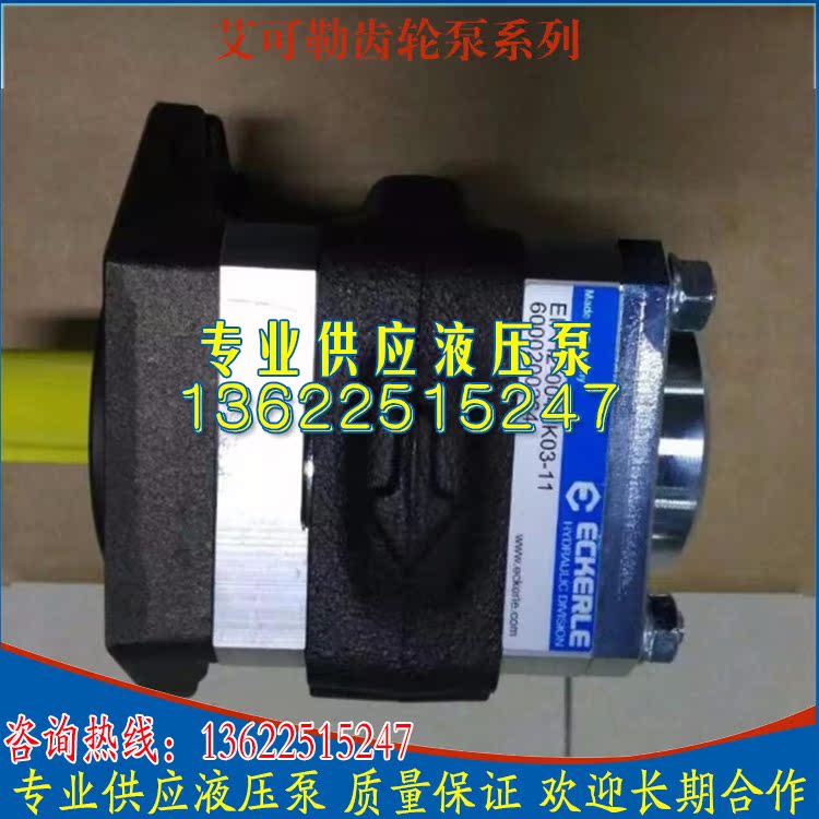 Eeler ECKERLE HYDRAULIC PUMP 890-EI-0500-RS2-C302890-EI-0640-RS2-C507