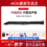 Akai Ewi Solo Yajia Hair Tip