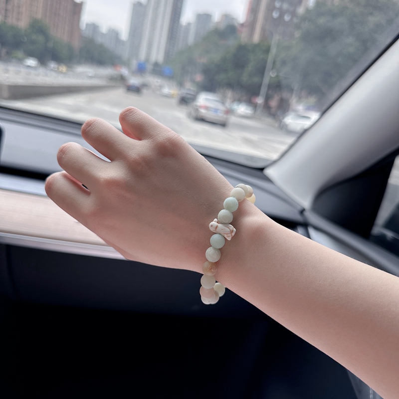 Fahlo Animal Tracking Bracelet Real-Life Photos and Hands-On Experience Pictures