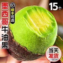 Mexican avocado imported 6 avocados about 2 pounds fresh fruit baby pregnant women fruit SF multi-province