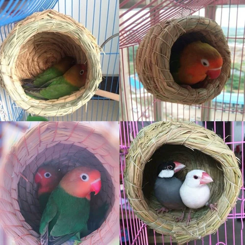 Птичье гнездо гнездо гнездо зимнее тепло